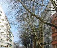 Gepflegtes Mehrfamilienhaus mit Baugenehmigung für DG-Ausbau Berlin-Kreuzberg Friedrichshain-Kreuzberg - Kreuzberg Vorschau