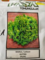 Salat Lollo Rosso Samen zu verkaufen Baden-Württemberg - Notzingen Vorschau