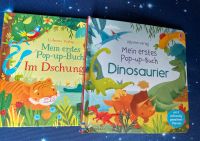 Pop up Bücher Dschungel und Dinosaurier Niedersachsen - Obernkirchen Vorschau