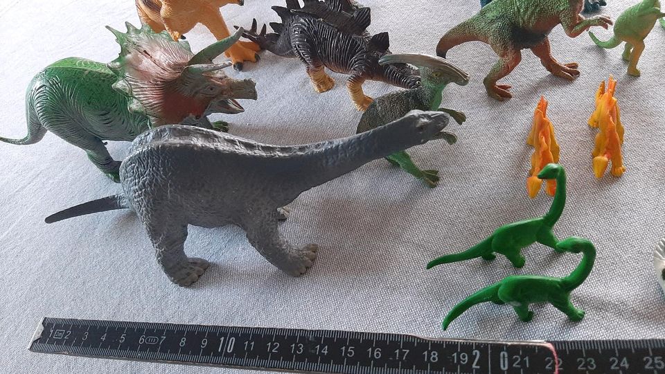 Dinosaurier Sammlung 19 Teile in Dransfeld