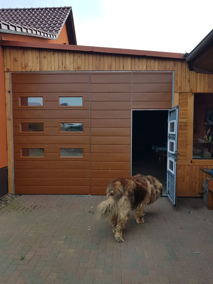 Hoftor container Garagentor haustür trapezblech rolltor schwingtor pflug Schiebetür sektionaltor hallentor gartentor gartentür garagentür doppelflügeltor tor carport hundebox in Falkenberg/Elster