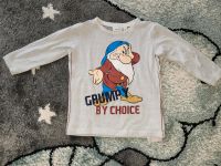 Langarmshirt Name it "Grumpy", Gr. 80 Hessen - Mühlheim am Main Vorschau