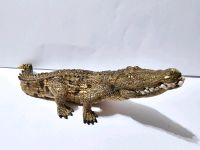 Krokodil Schleich Figur groß Neuwertig Hessen - Darmstadt Vorschau