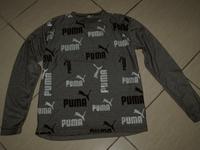 Pulli Puma Saarland - St. Wendel Vorschau
