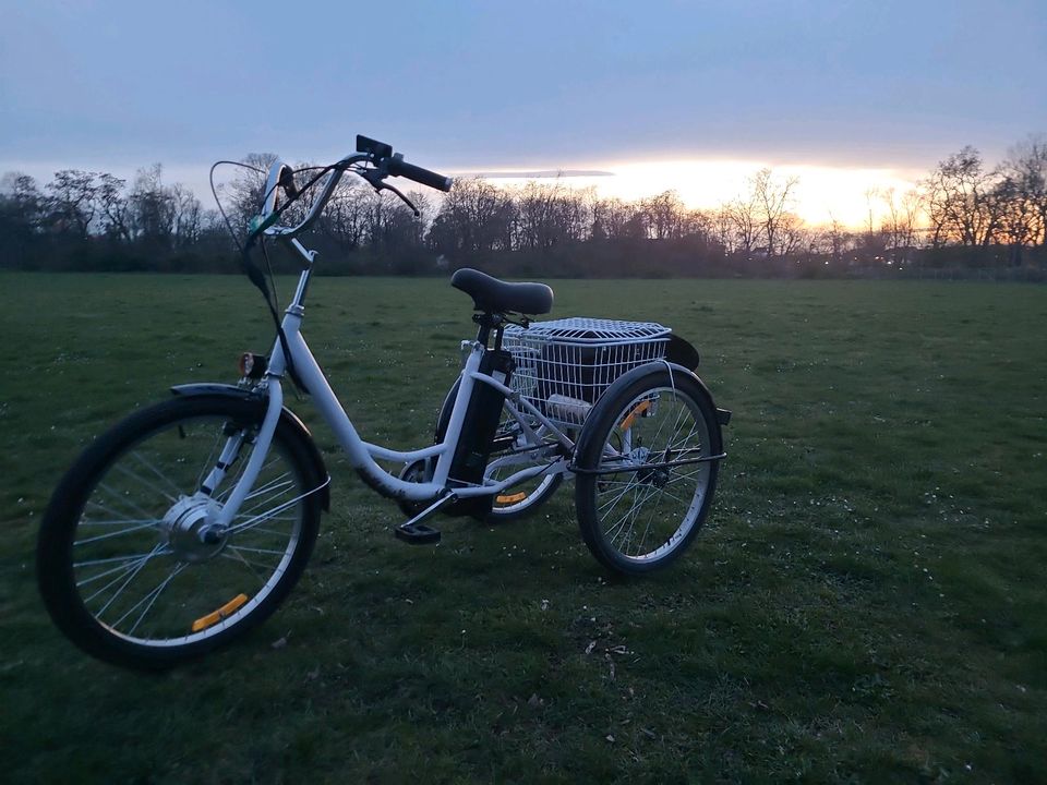 Dreirad E-Bike gebracht 48V in Leipzig