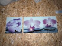 2 Glasbilder Orchideen lila Nordrhein-Westfalen - Düren Vorschau