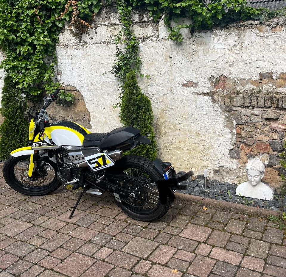 Mondial Flat Track 125 Neuwertig Schaltmoped b196 in Riedstadt