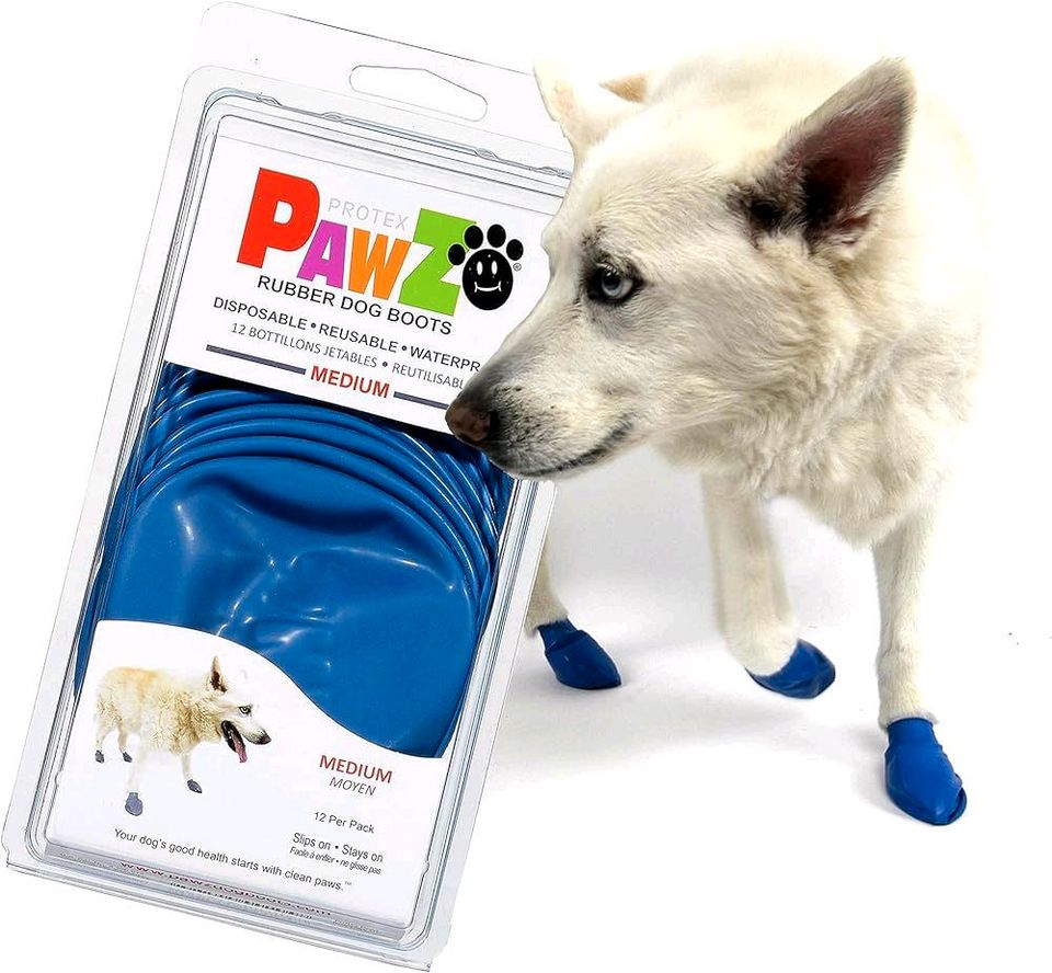 suche Pawz Hundeschuhe medium in Viersen