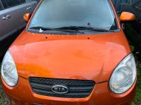 Kia Picanto 5-türige Orang bj 2005 Motorhaube Rheinland-Pfalz - Müllenbach (bei Adenau) Vorschau