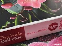 Puzzle 1000 Teile "Beauty of Orchids" Niedersachsen - Bassum Vorschau