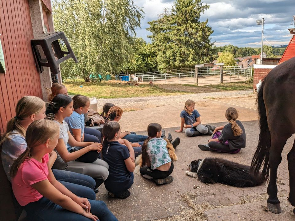 Kids - Wanderreitcamp' 24 mit Islandpferden in Münchhausen
