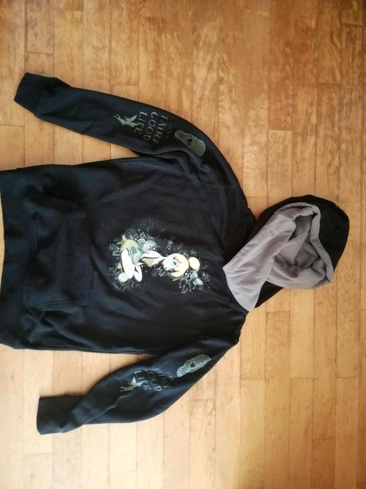 Kapuzenpullover Gr. M L Disney von nastovje Potsdam in Berlin