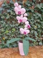 Orchidee gehäkelt Amigurumi neu Phalaenopsis Niedersachsen - Schwarmstedt Vorschau
