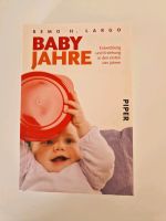 Baby Jahre Buch Eltern Erziehung Ratgeber Baby Rheinland-Pfalz - Sohren Hunsrück Vorschau