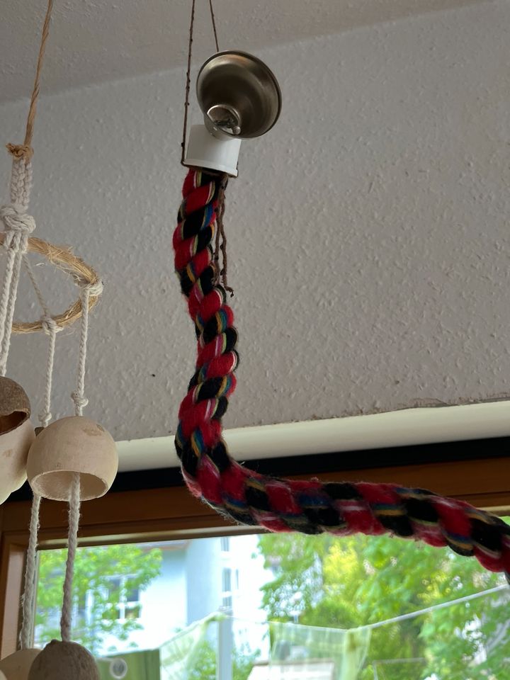 Spirale Seil Wellensittich Spielzeug Tau klettern in Freiburg im Breisgau