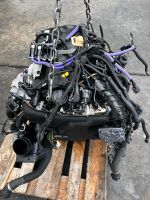 Motor BMW B47D30B 325D 425D 535D X1 X3 X5 25D 235PS G05 G30 Berlin - Wilmersdorf Vorschau