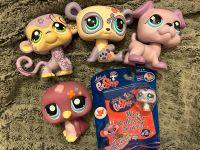 Littlest pet Shop Baden-Württemberg - Waldshut-Tiengen Vorschau