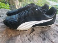 Fussballschuhe Adidas Gr.40 Thüringen - Viernau Vorschau