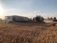 Suche LKW Fahrer/in Teil/Vollzeit/Renter Landwirtschaft Kartoffel Bayern - Kühbach Vorschau