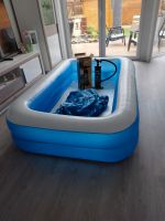 Pool/Planschbecken 200x130 mit Pumpe und Abdeckp Hannover - Misburg-Anderten Vorschau