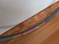 Mavic X317 Disc Felge 26" 32L Neuwertig Grau Retro Kult Brandenburg - Schönwalde-Glien Vorschau