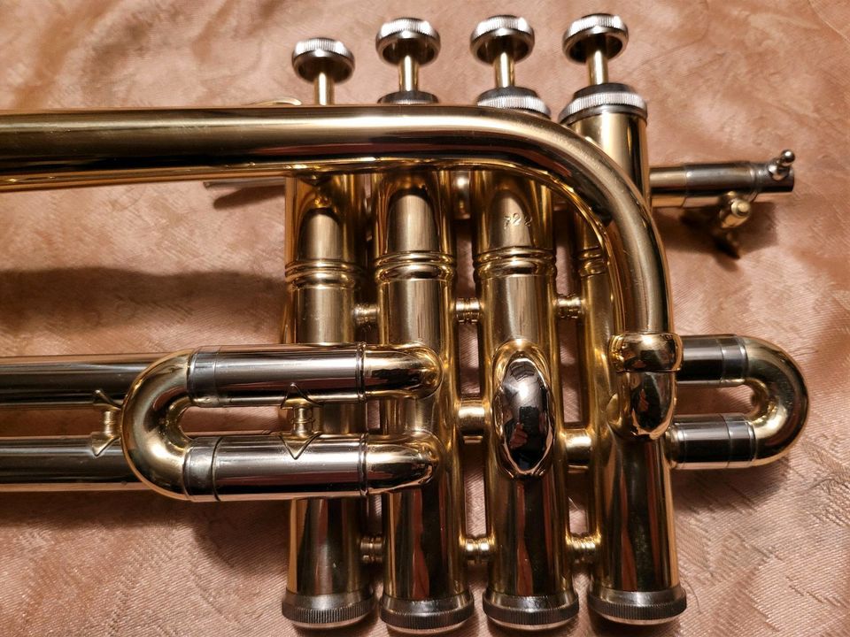 Piccolo trompete MTP, Nagel Neu, Koffer, Mundstück in Riedenburg