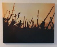 Sonnenuntergang Fuerteventura Bild 60x80cm Holzrahmen Leinwand Flensburg - Mürwik Vorschau