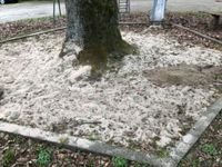 Sand Baden-Württemberg - Neuenstein Vorschau