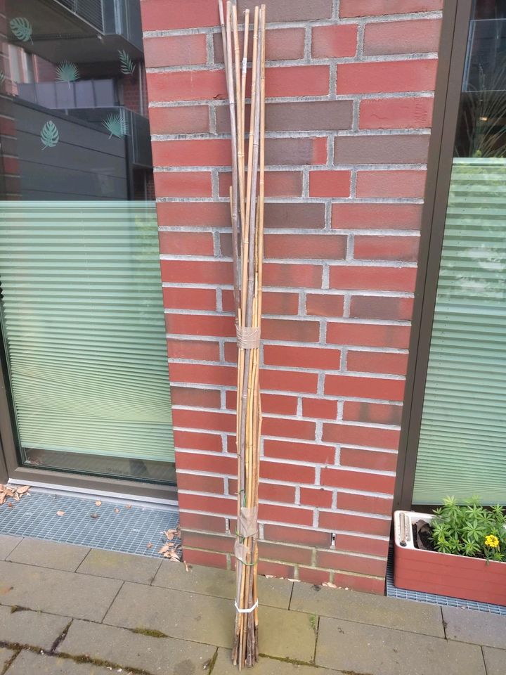 Ca.20 Bambus Stäbe für den Garten Pflanzen Spieße in Bremen