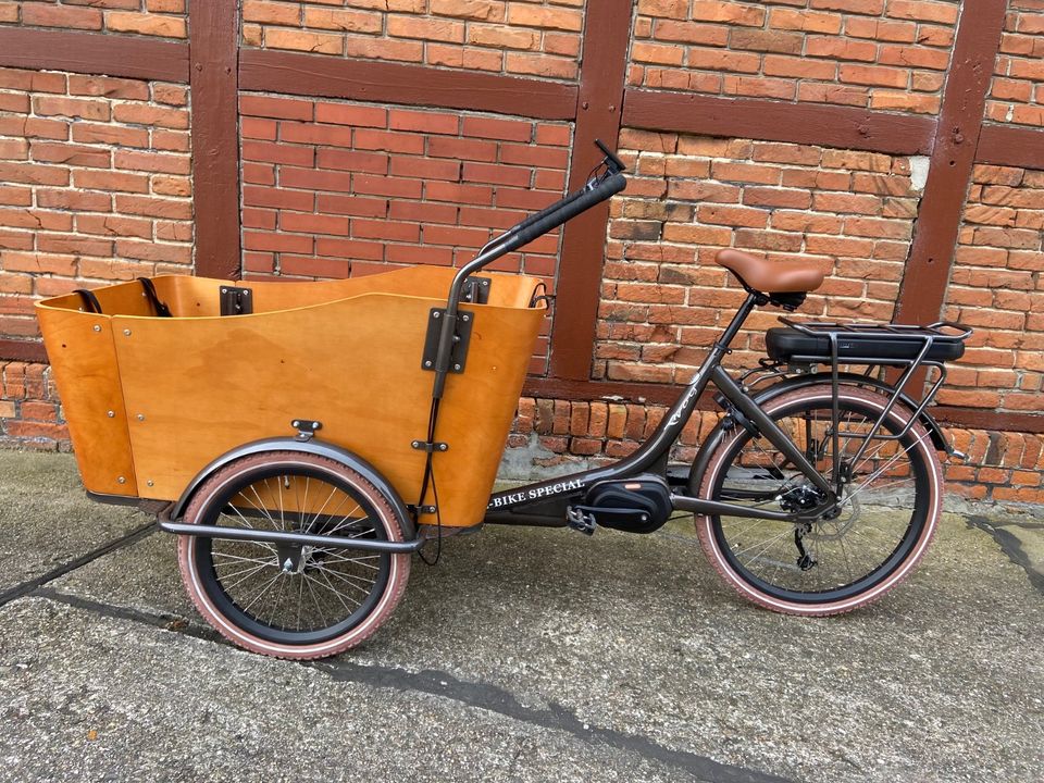 Bakfiets Troy E-Bike Special in Münster (Westfalen) - Geist | eBay  Kleinanzeigen ist jetzt Kleinanzeigen