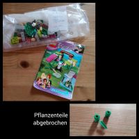 LEGO Friends Pandaspielplatz 41049 Baden-Württemberg - Hausach Vorschau