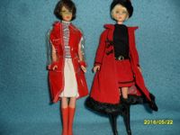 SUCHE BARBIE, KEN, MIDGE, FRANCIE, SKIPPER  60er UND 70er JAHRE Hessen - Schaafheim Vorschau