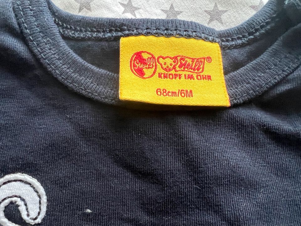 Steiff T-Shirt Größe 68 / 6 Monate in Stuhr