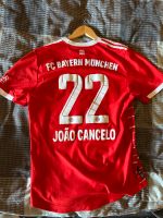 FC BAYERN MÜNCHEN 22/23 HEIMTRIKOT AUTHENTIC João Cancelo Rheinland-Pfalz - Esch Vorschau