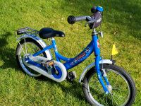 16 er Puky Fahrrad blau Ludwigslust - Landkreis - Hagenow Vorschau