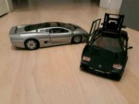 Lamborghini Countach und Jaguar XJ220 im Maßstab 1:18 Hessen - Weilburg Vorschau