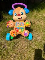 Fisher Price Laufwagen Hund Nordrhein-Westfalen - Oberhausen Vorschau