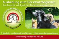 online: die Ausbildung zum Tierschutzbegleiter | online Bayern - Rieden a. Forggensee Vorschau