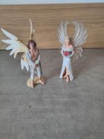 Schleich Fantasy 2 Figuren Nordrhein-Westfalen - Altenbeken Vorschau