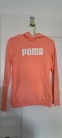 164 puma Pullover NEU Orang Pulli huddi xxs xs Leipzig - Eutritzsch Vorschau