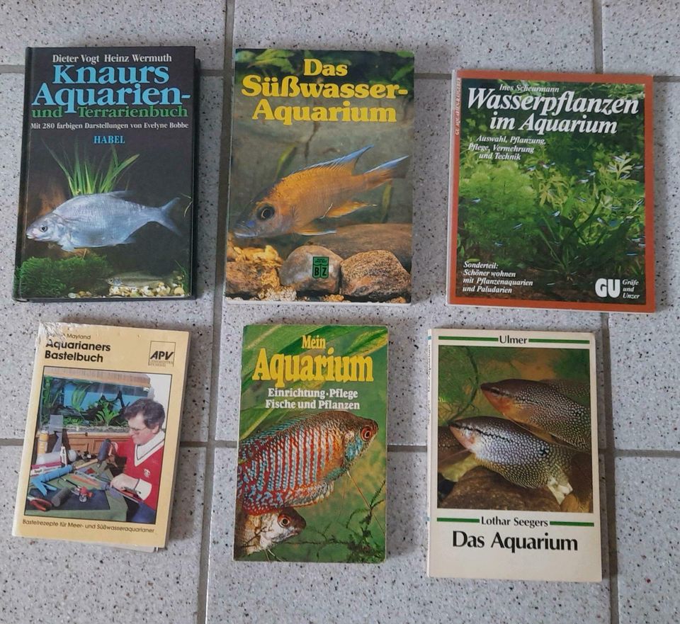 Aquarium: Bau, Einrichtung und Pflege in Kiel