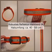 Hundehalsband orange/Reflektor Niedersachsen - Wardenburg Vorschau