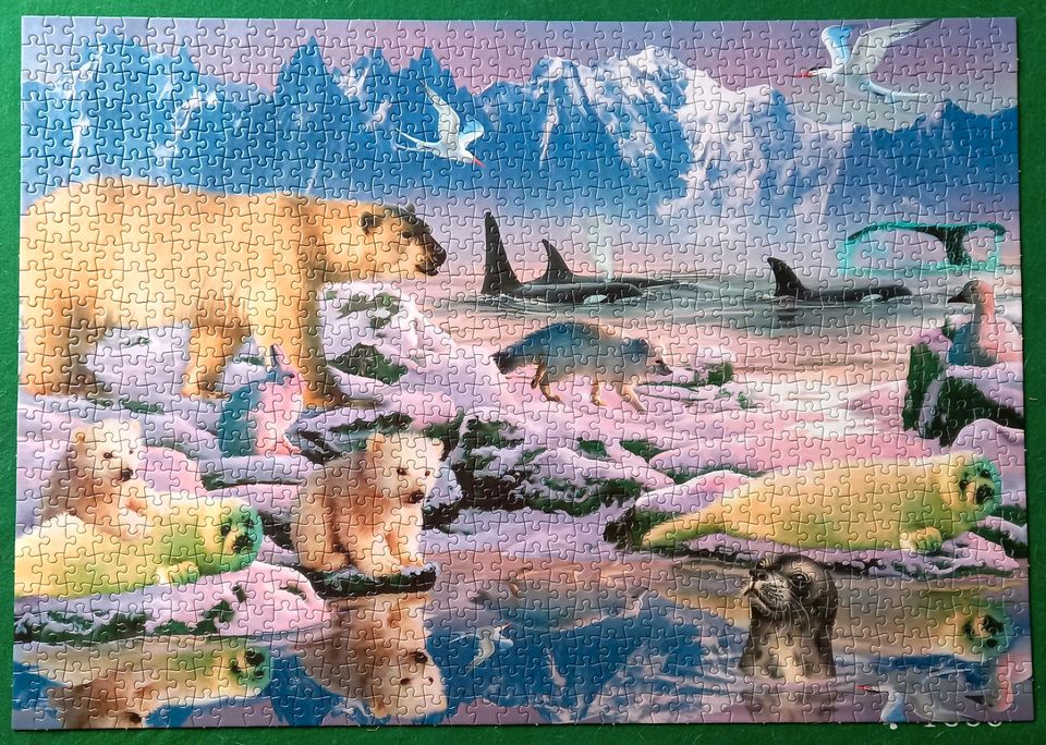 Puzzle 2x 1000 Teile in Miesbach