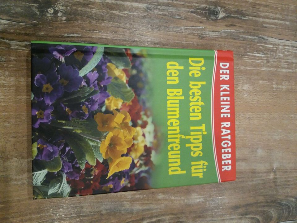 Der kleine Ratgeber Die besten Tipps für den Blumenfreund Pflanze in Kohren-Sahlis