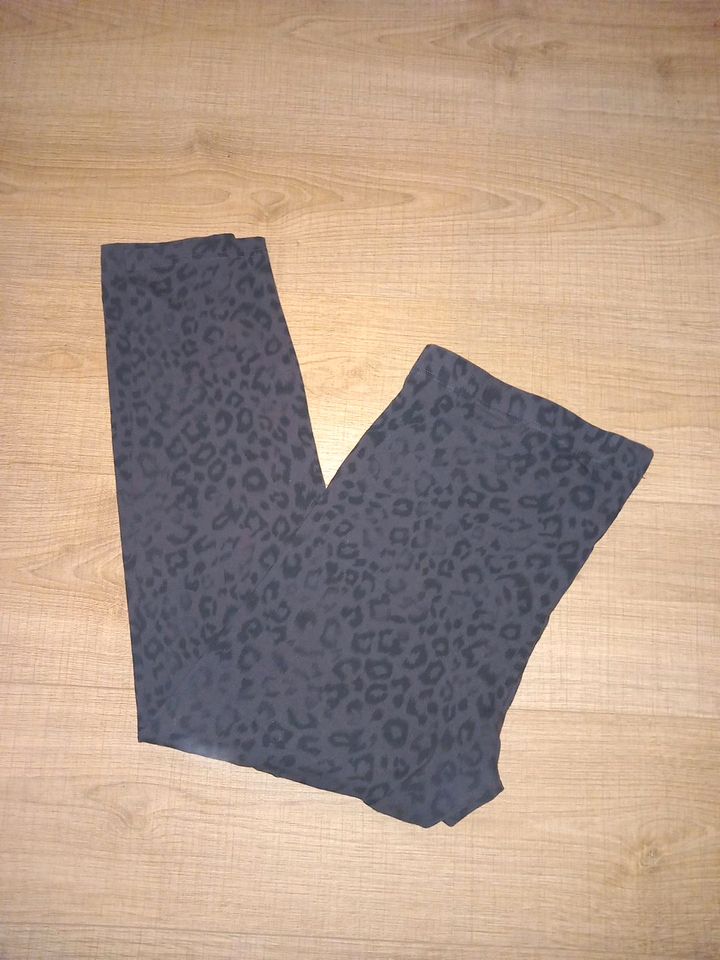 Leggings Animalprint Gr. XL in Gößnitz