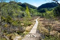 Gutscheine für Kräuterwanderungen und andere Naturerlebnisse Mecklenburg-Vorpommern - Carlow Vorschau