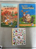 Oster Bücher Kinderbücher Osterhase wimmelbuch Baden-Württemberg - Gottmadingen Vorschau