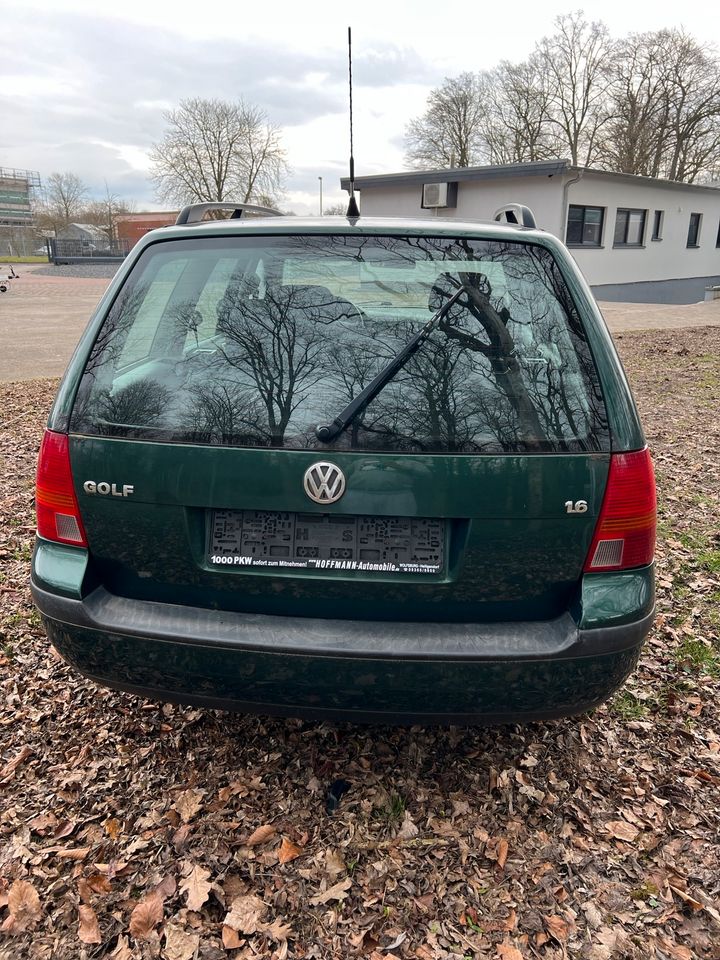 Schlachtfest VW Golf 4 Variant 1.6 16V AZD ERT LC6M Ersatzteile in Sarstedt