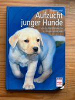 Buch Aufzucht junger Hunde von Rosemarie Wild Niedersachsen - Ottersberg Vorschau