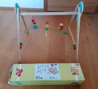 Hess Babyspielgerät Käfer Artnr.13373 Bayern - Triftern Vorschau